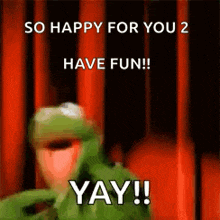 kermit the frog is saying `` so happy for you 2 have fun ! ''