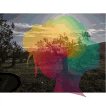 Landscape Rainbow GIF - Landscape Rainbow Profile GIFs
