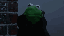 Evil Laugh Frog GIF - Evil Laugh Frog Kermit GIFs