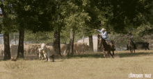 Cattle Roping The Cowboy Way Alabama GIF