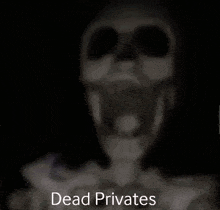 Dead Private GIF