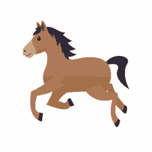 speedy horse