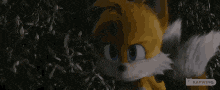 tails from the video game sonic the hedgehog is looking at the camera