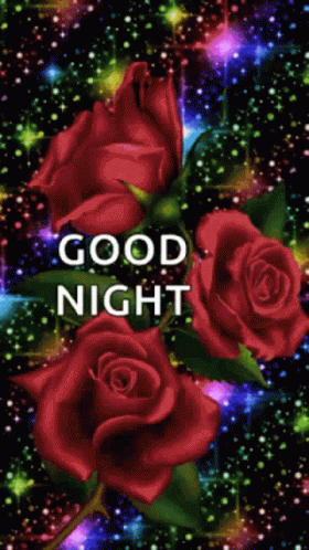 Good Night Rose GIF - Good Night Rose Flower - Discover & Share GIFs