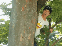 Matsuyama Kenichi Tree Climbing GIF