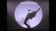 Whitesnake Still Of The Night GIF - Whitesnake Still Of The Night Rock Band GIFs