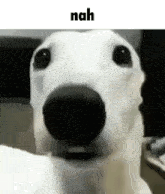 Nah Dog GIF - Nah Dog GIFs