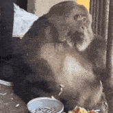 a monkey is sitting next to a bowl of food and a bowl of sunflower seeds .