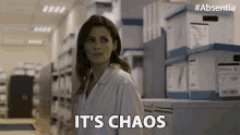 Its Chaos Stana Katic GIF - Its Chaos Stana Katic Emily Byrne GIFs