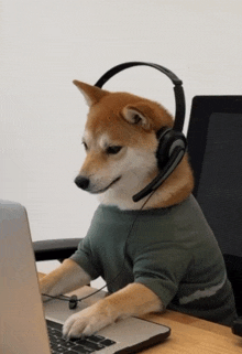 Doge What GIF - Doge What Doge What GIFs