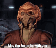 May The Force Be With You Plo Koon GIF