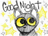 a drawing of a black cat with yellow eyes and the words " good night "