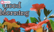 good morning wishes trending wishes good morning status kulfy