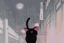 Anime Rain Wallpaper GIFs | Tenor
