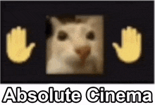 Absolute Cinema Shitpost Wow Suprised Cat Reaction GIF