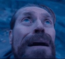 a man with a beard and blue eyes looks up