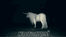единорог темнота настоящий фэнтези GIF - Unicorn Real Dark GIFs