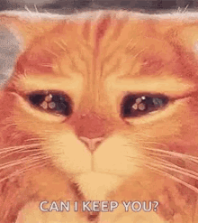 Can I Keep You Puss In Boots GIF - Can I Keep You Puss In Boots Eyes GIFs