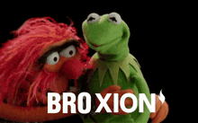 Bro Brother GIF - Bro Brother Best Friend GIFs