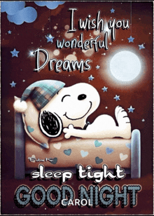 a picture of snoopy laying in a bed with the words " i wish you wonderful dreams sleep tight good night "