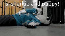 a shark mascot is laying on the floor with a puppy