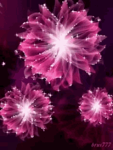 Flowers Animation GIF - Flowers Animation Shiny GIFs
