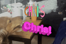 Chris Rowan GIF - Chris Rowan Dani GIFs