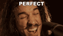Perfect Anthony Vincent GIF - Perfect Anthony Vincent Ten Second Songs GIFs