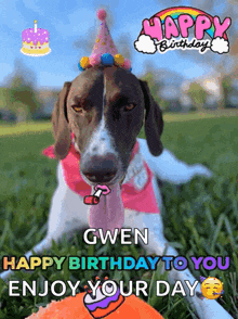 Happy Birthday Pet GIF