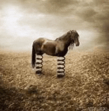 a horse with springs in its legs is standing in a field .