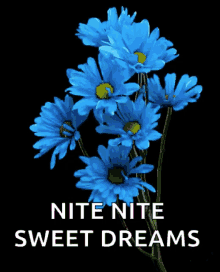 Nitenite Sweet Dreams GIF - Nitenite Sweet Dreams Sparkles GIFs