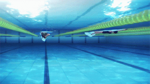 iwatobi swimming club swimming anime gif | WiffleGif