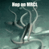 Mrcl GIF - Mrcl GIFs