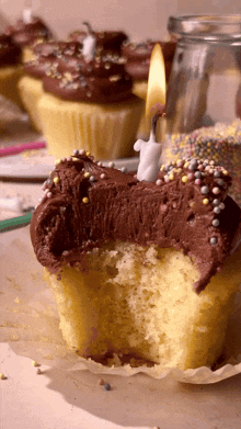Birthday Cupcakes Dessert GIF