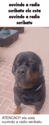 a dog wearing headphones is sitting on a tiled floor