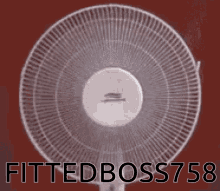 Fittedboss GIF - Fittedboss GIFs