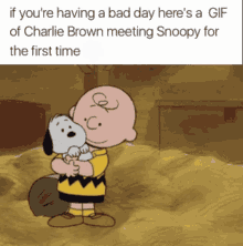 Charlie Brown Wholes GIF - Charlie Brown Wholes Snoopy GIFs