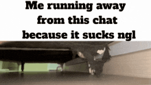 Me Running Away From This Chat Because It Sucks Ngl Cat GIF