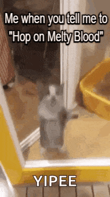 a cat is standing in front of a door with a caption that says `` me when you tell me to hop on melty blood ''
