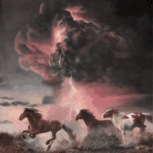 horses storm lightning twister
