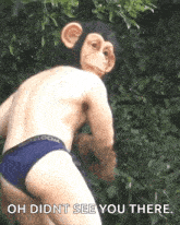 Look Back Monkey Mask GIF