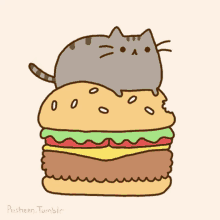 hamburger bounce cute cat pusheen