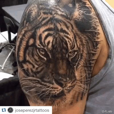 Tiger Auburn GIF - Tiger Auburn Tattoo Tiger - Discover & Share GIFs