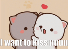 I Want To Kiss You Mochi Mochi Mochi Peach Cat Gif GIF - I Want To Kiss You Mochi Mochi Mochi Peach Cat Gif Mochi Cat GIFs