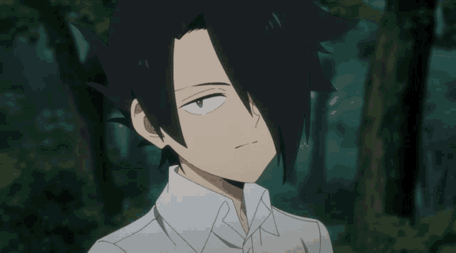 Ray The Promised Neverland GIF