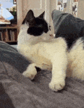 a black and white cat is laying on top of a couch .