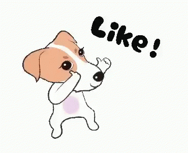 Funny Cute GIF - Funny Cute Dog - Discover & Share GIFs