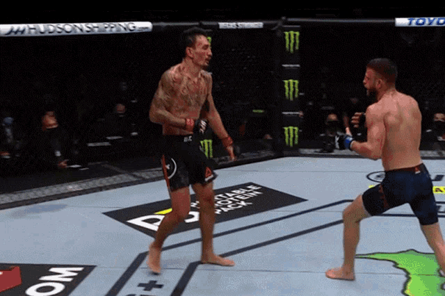 maxholloway-hollowaykattar.gif
