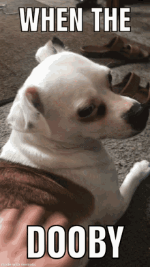 Dog Pet GIF - Dog Pet When The Dooby GIFs