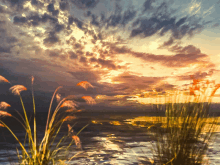 Clouds At Sunset GIF